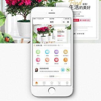 蛟河门店微商城小程序开发